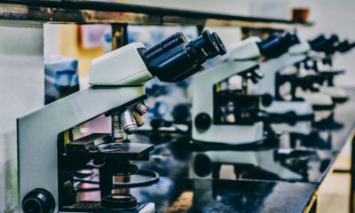 mikroskopy w laboratorium