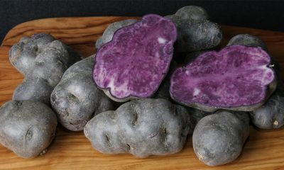 Fioletowy ziemniak